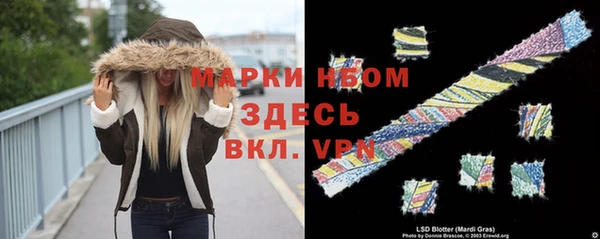 спиды Кукмор