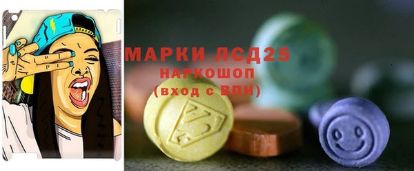прущие грибы Кулебаки