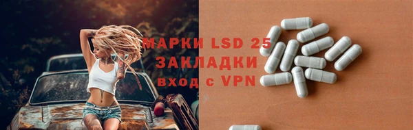 прущие грибы Кулебаки