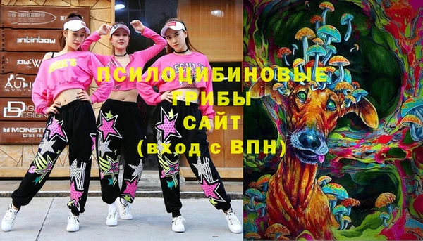 спиды Кукмор