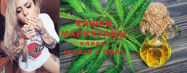 прущие грибы Кулебаки