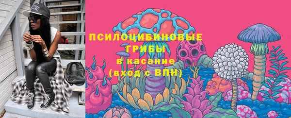 стафф Куйбышев