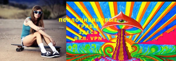 прущие грибы Кулебаки