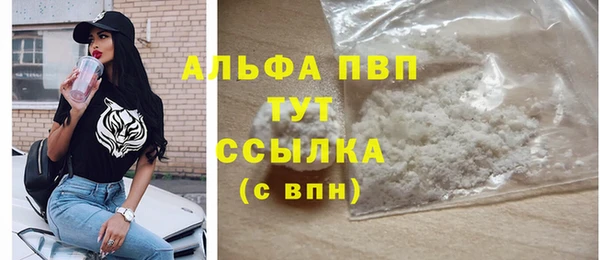 прущие грибы Кулебаки