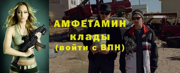 прущие грибы Кулебаки