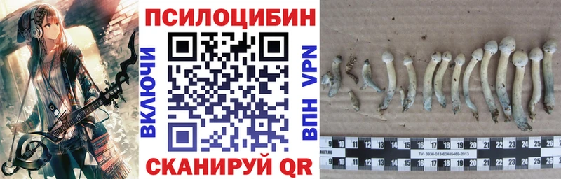 Псилоцибиновые грибы GOLDEN TEACHER  Дегтярск 